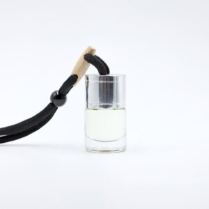 Silver Hanging Diffuser