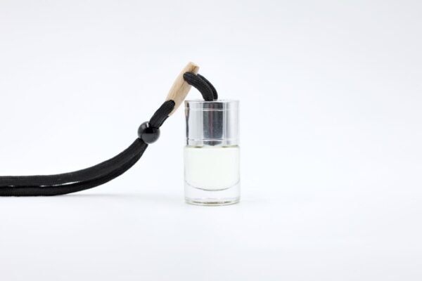 Silver Hanging Diffuser
